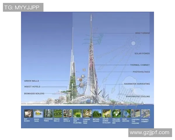 武汉滑板队防守革新之路：从传统到现代的全面转型与突破