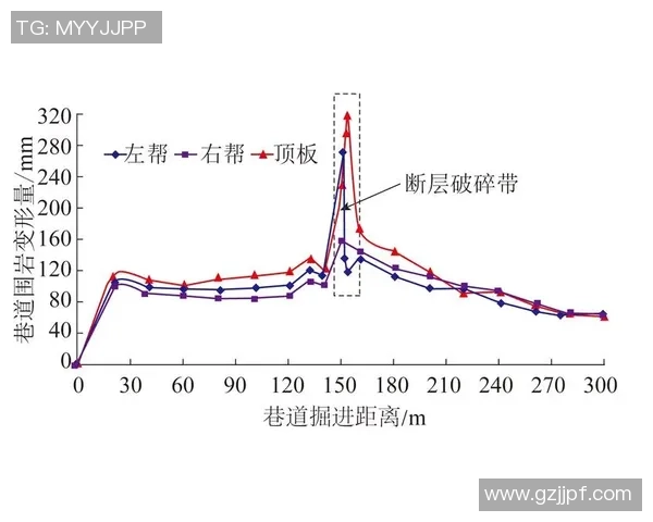 武汉极限运动队协作模式深度解析与对比研究