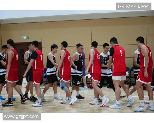 武汉篮球队团队协作的力量与魅力探讨